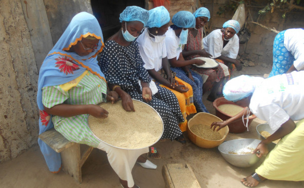 Rafforzamento delle cooperative di trasformazione in Senegal