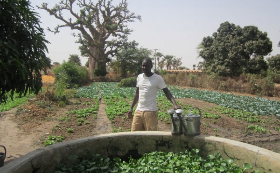 Proteggere l’ambiente e fare impresa