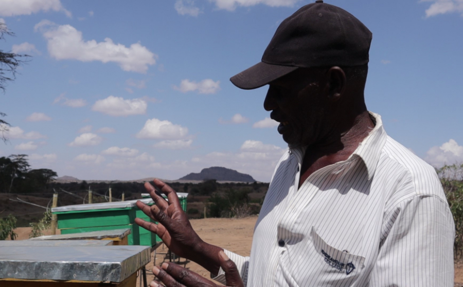 Honey market kenya