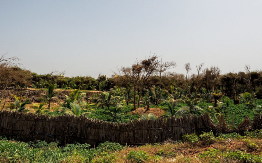 La transizione ecologica nelle citt&agrave; africane