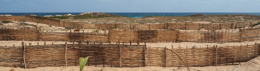 IPSIA ricerca un consulente elaborazione cartografia per il Senegal