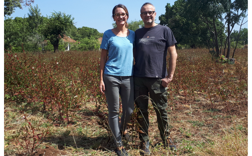 Marco Calvetto (presidente di IPSIA) e Giulia Dal Bello (presidente di IPSIA Kenya) di fronte a uno dei campi di carcad&egrave; della Meru Herbs in Kenya, partner del primo progetto di IPSIA nel paese