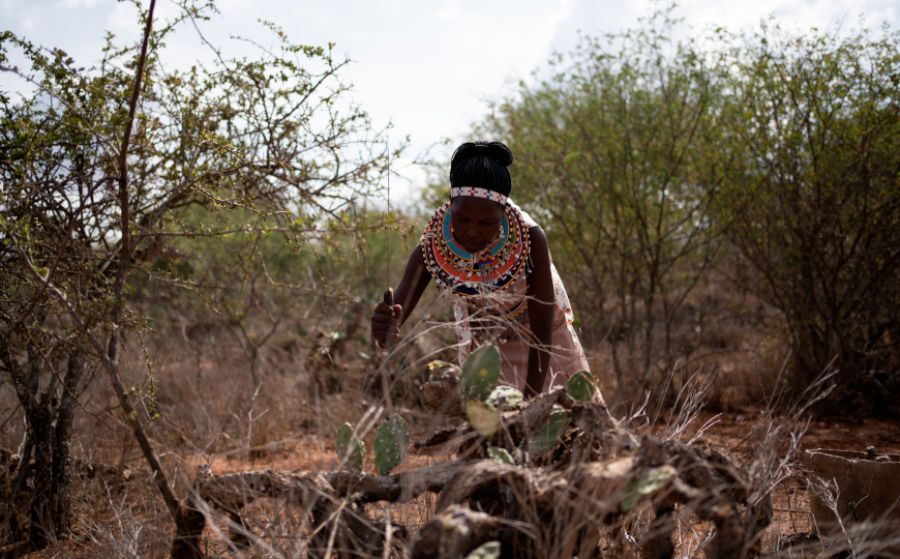 Trasformare una spina in una soluzione