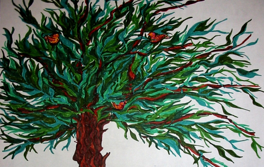 Struttura associativa