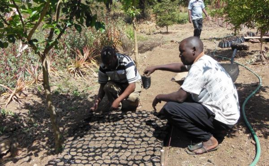 Alimentare lo sviluppo in Kenya: i primi sei mesi di progetto